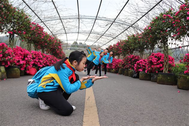 踏春寻花 花舞人间——记棠外附小三年级社会实践活动