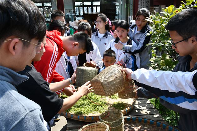 品蒙顶茶韵 探丛林之险——记我校国际部U-COURSE课程之蒙顶山研习体验之旅