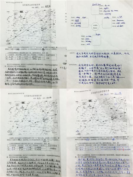 一峰一峡一碧谷 一山一水话动物——记我校附小五年级社会实践活动