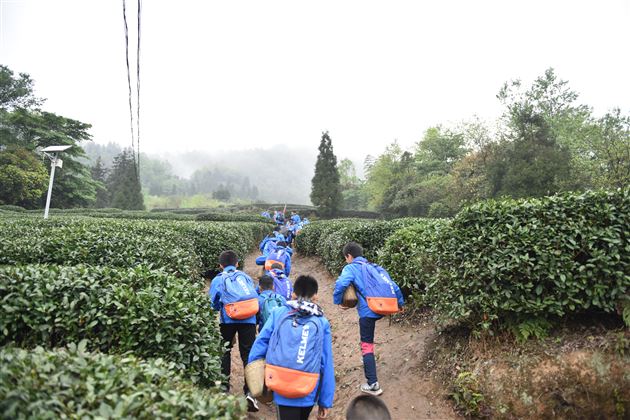 一路茶香 道蕴清长——我校初2018级开展 “茶遇蒙山”研学旅行活动
