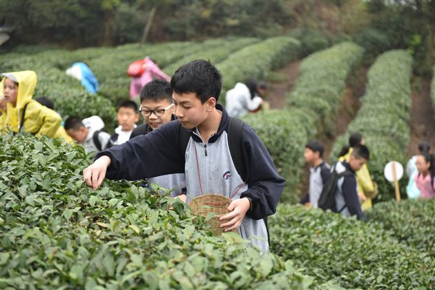 一路茶香 道蕴清长——我校初2018级开展 “茶遇蒙山”研学旅行活动