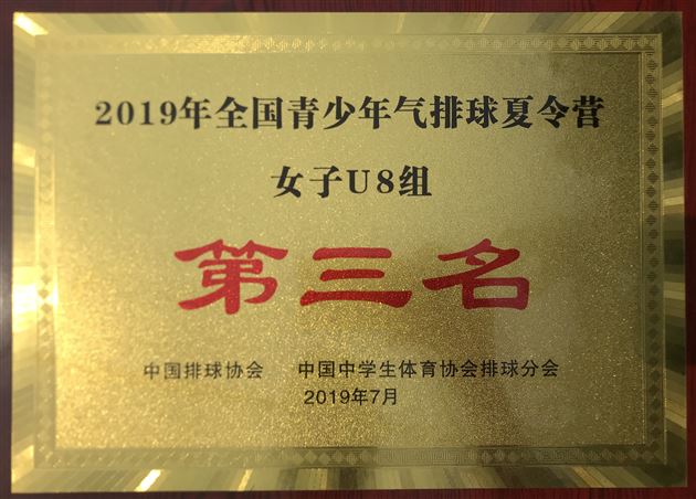 6我校附小在2019年全国小学生排球联赛中获佳绩