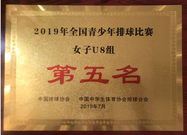 7我校附小在2019年全国小学生排球联赛中获佳绩