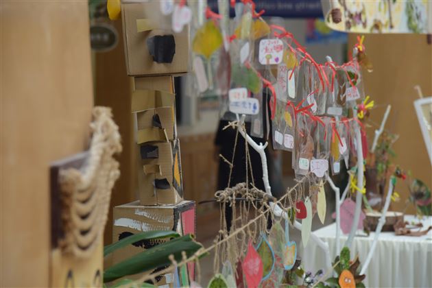 多彩的秋天——棠外实验幼儿开展秋天主题活动