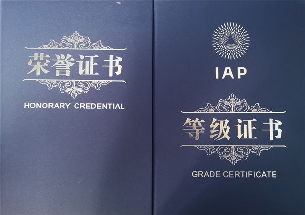 喜报:热烈祝贺我校高中学生在IAP和“21世纪杯”演讲比赛中荣获最高奖