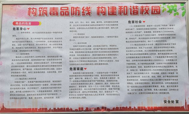 珍爱生命 拒绝毒品——我校附小举行主题升旗仪式活动