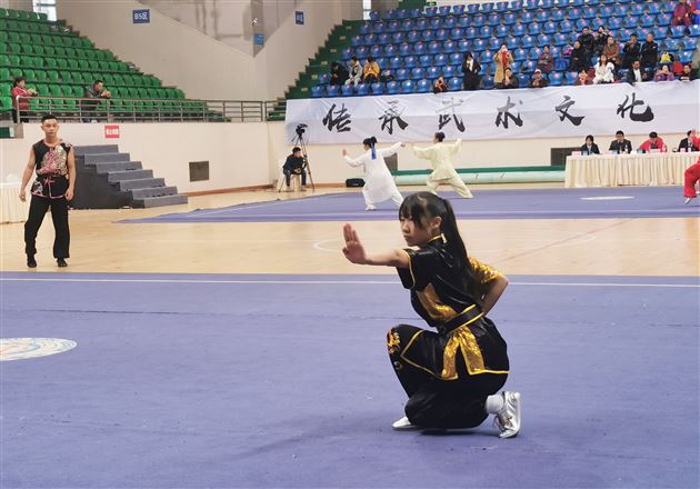 全省武林群英会 棠外学子功夫高——棠外高中武术队在第三届四川省武术群英会(武术套路精英赛)获奖