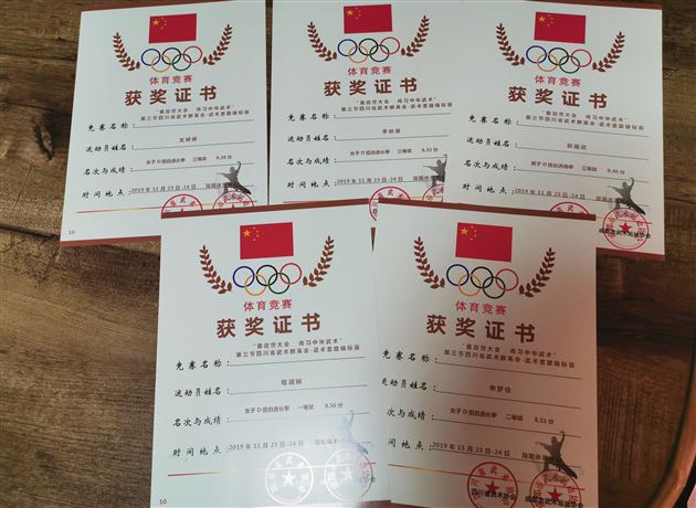 全省武林群英会 棠外学子功夫高——棠外高中武术队在第三届四川省武术群英会(武术套路精英赛)获奖