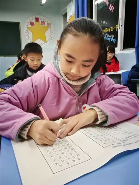 笔墨横姿书经典——记棠外附小第二十届书法比赛