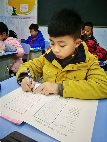 笔墨横姿书经典——记棠外附小第二十届书法比赛
