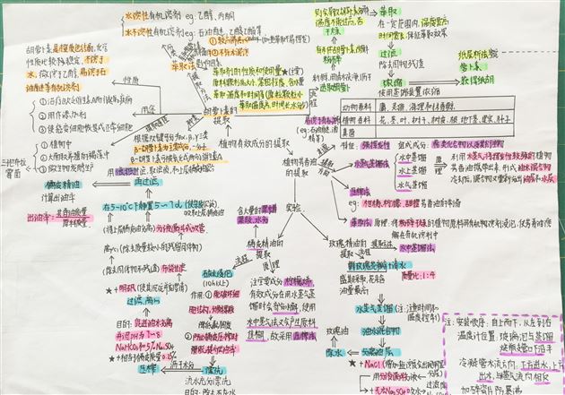生物之美 思维之美——高2018级生物组思维导图展示活动