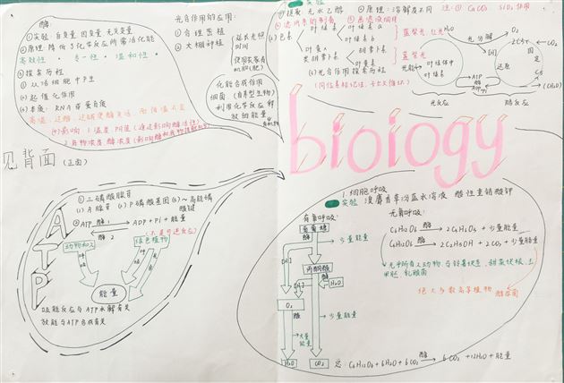 生物之美 思维之美——高2018级生物组思维导图展示活动