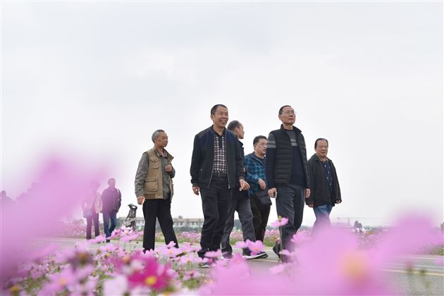 成都棠湖外国语学校“欢度2020年重阳节”活动圆满举行