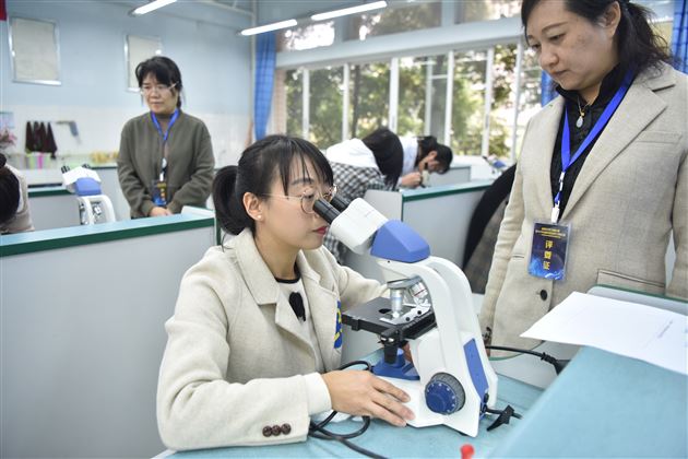 制作观察临时装片