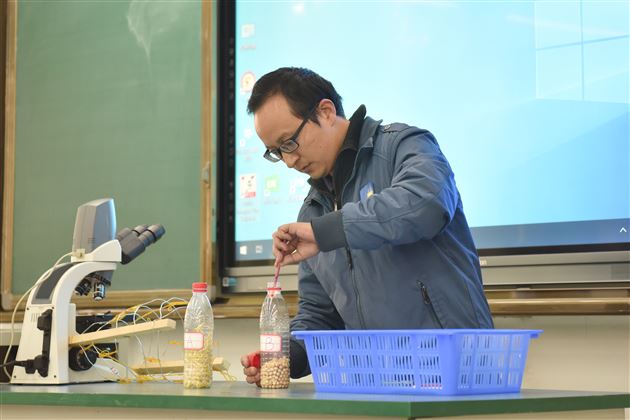 呼吸作用与呼吸运动