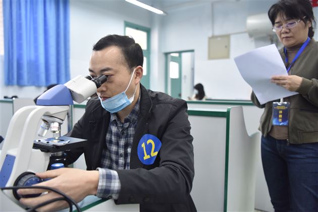 制作观察洋葱表皮细胞临时装片