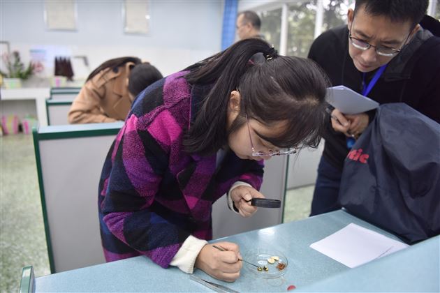 观察种子结构