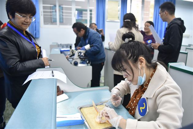 解剖观察