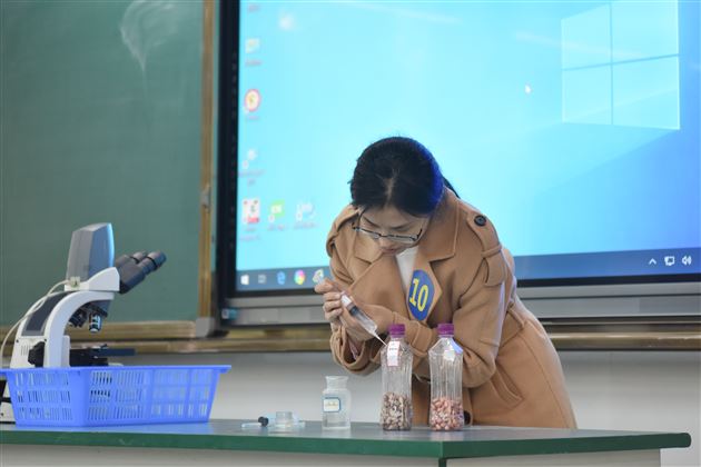 验证种子萌发时释放二氧化碳