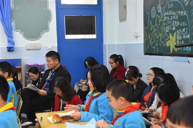 聚焦语数外课堂教学 开启小初衔接新思路