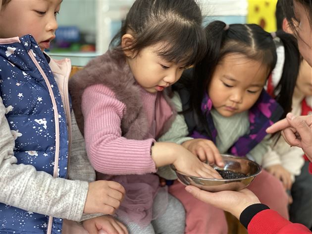 棠宝承传统,萌娃过腊八 棠外实验幼儿园腊八节活动