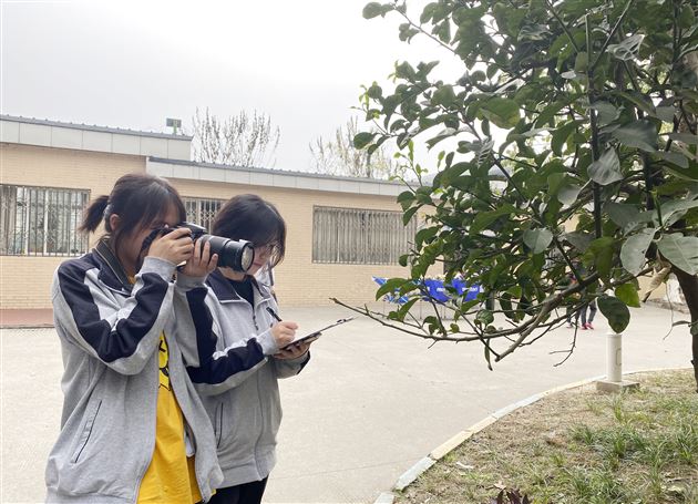 校园绿植谁认识 三月觅春芝兰间——记棠外校团委植树节、森林日志愿者活动