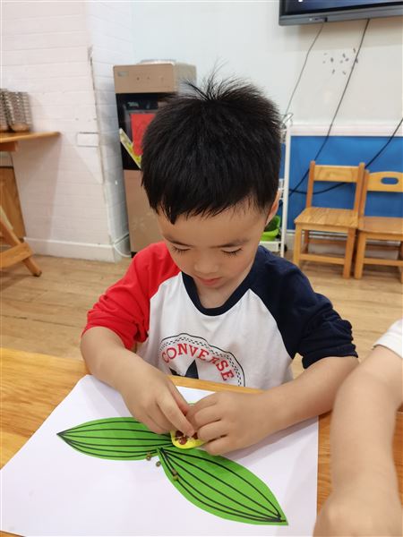 端午“粽”动员——棠外实验幼儿园端午活动