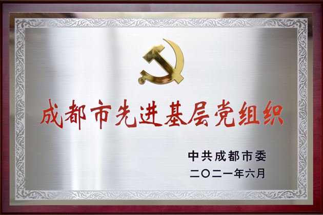棠外党委荣获“成都市先进基层党组织”称号