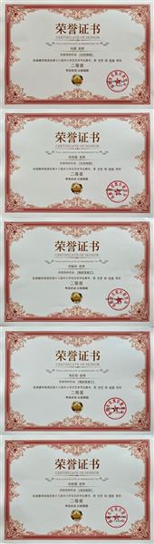 美术:二等奖指导教师证书
