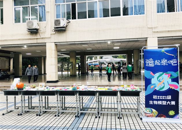 “造起来吧!”——初2021级成功举办生物手工模型展