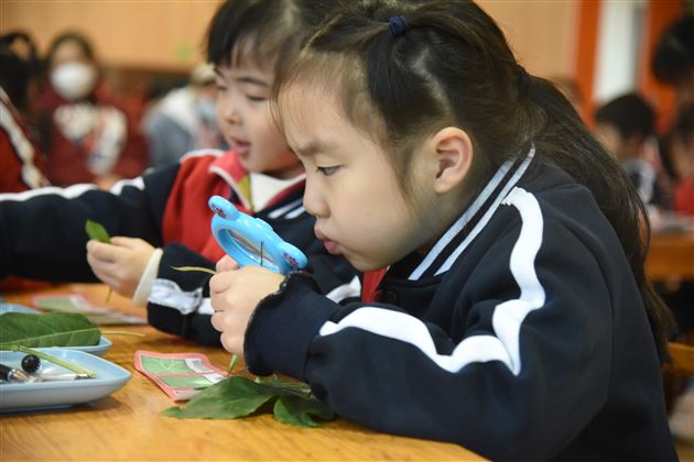 棠外实验幼儿园承办双流区科学联组第三次教研活动