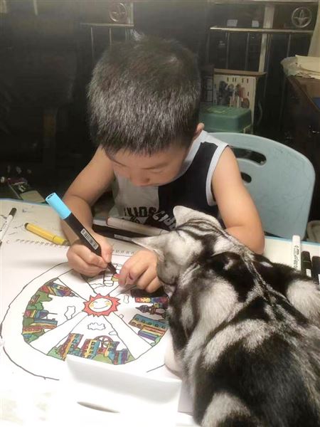 棠外实验幼儿园在双流区第二届青少年科技创新大赛中获奖