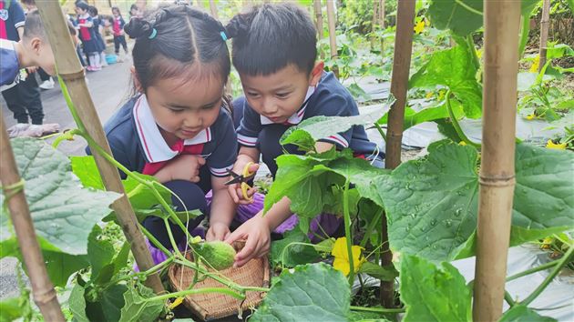 棠外实验幼儿园开展蔬菜义卖活动