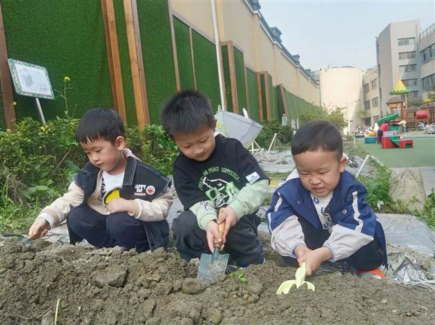 棠外实验幼儿园开展蔬菜义卖活动