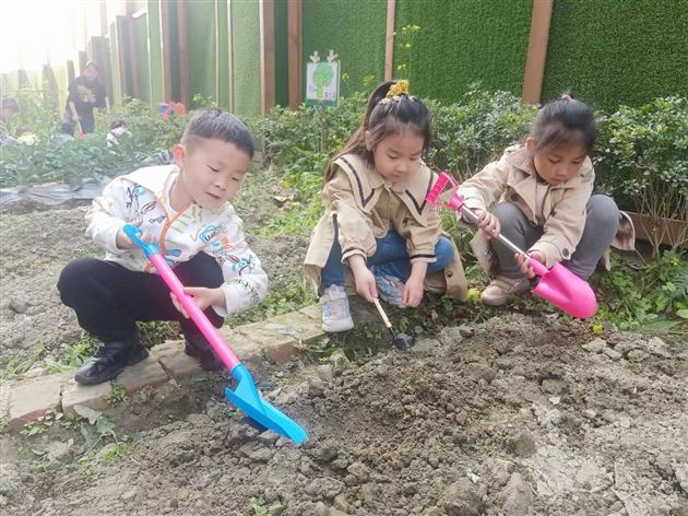 棠外实验幼儿园开展蔬菜义卖活动