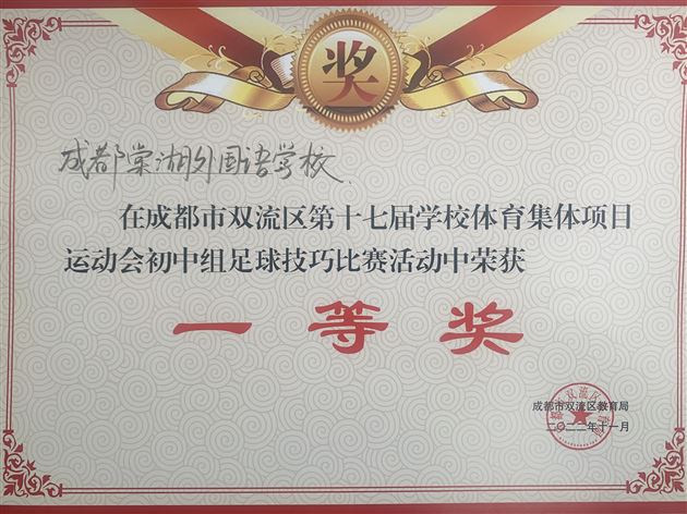足球技巧获奖证书