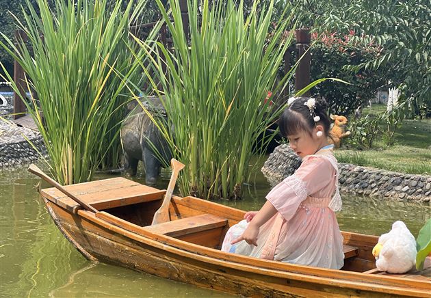 快看,棠宝微电影获奖啦