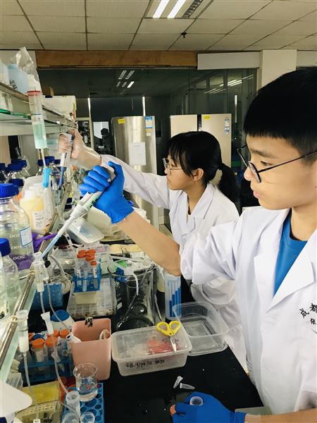 西南大学研学场景