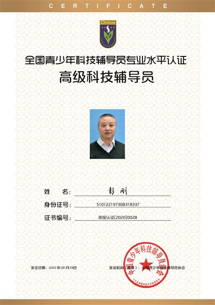 彭刚老师高级辅导员证书