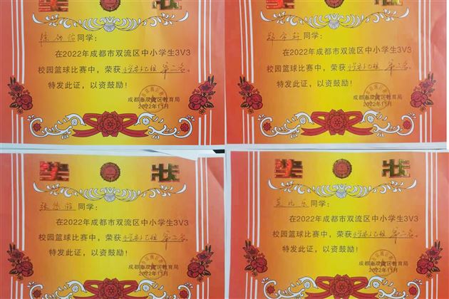 赛场上的高光时刻!棠外附小获八个团体一等奖