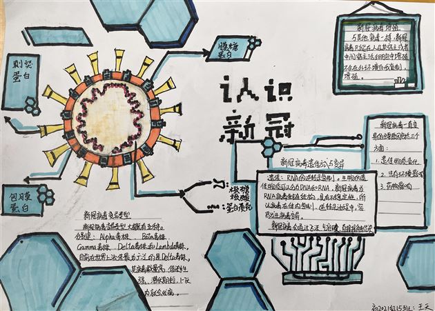 实验,解剖,办报——不一样的生物寒假作业