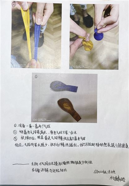 实验,解剖,办报——不一样的生物寒假作业