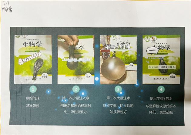 实验,解剖,办报——不一样的生物寒假作业