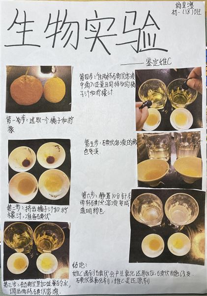 实验,解剖,办报——不一样的生物寒假作业