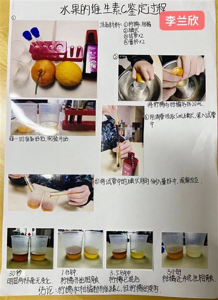 实验,解剖,办报——不一样的生物寒假作业