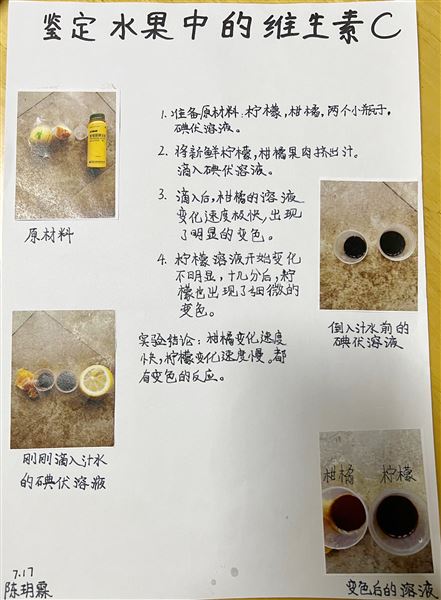 实验,解剖,办报——不一样的生物寒假作业