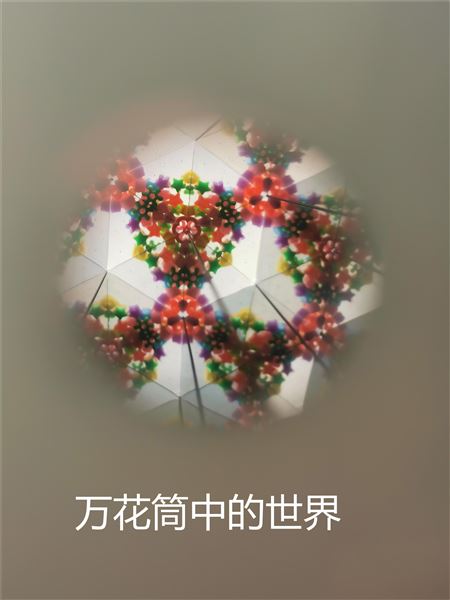 动手动脑,快乐“悟”理——初二物理寒假实践作业展评