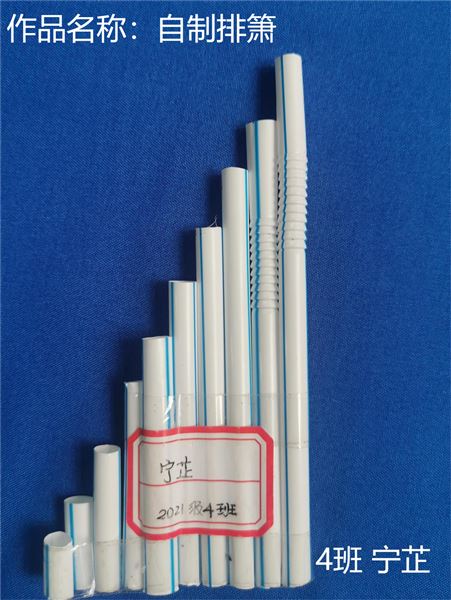 动手动脑,快乐“悟”理——初二物理寒假实践作业展评