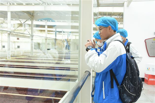 川菜小镇,味蕾之旅——记棠外初2020级研学旅行活动