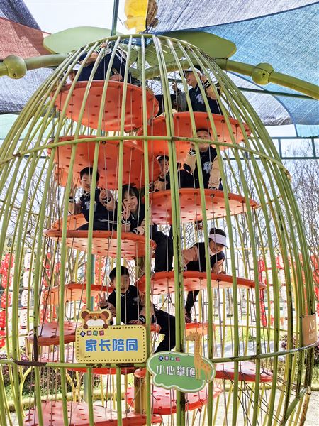 春天的仪式感,就是上一堂生动的自然课——记棠外附小一二年级综合实践课程